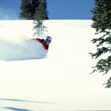 Foto: Bengt-&aring;ke Orrell. &Aring;kare: Olof Orrell.