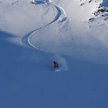 Foto: gonzo. &Aring;kare: lars &aring;ke krantz.