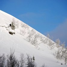 F&ouml;rmiddagen var mulen och gr&aring; men precis n&auml;r bi. Foto: Per G&aring;nf&auml;lt. &Aring;kare: Verner Eriksson.