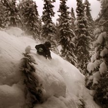 Dyster skogs&aring;kning i dom m&ouml;rka skogarna. Foto: Erik Gustavsson. &Aring;kare: Fredrik Nordqvist.