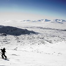 Foto: Magnus A. &Aring;kare: Martin D.