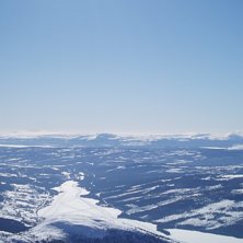&Aring;reskutans utsikt. inte att leka med!. Foto: Kajsa wej&aring;ker.