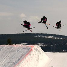 En liten spinn med grabb. Foto: Matte B. &Aring;kare: Patric K.