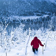 Sista &aring;ket i offpisten mellan tand&aring;dalen och hun. Foto: Andr&eacute; Nordblom.