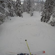 Salomon QST 106 Foto