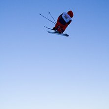 Foto: Andreas Timf&auml;lt / SwedenProPhoto.