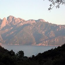 Ser ni inte elefanten ? . Foto: Mathias Moenne-Loccoz.