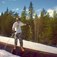 Foto: Viktor &Aring;kerlund. &Aring;kare: bullen.