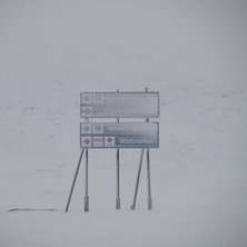 hummeln i november 2004. Foto: tommy englund. &Aring;kare: ingen va.