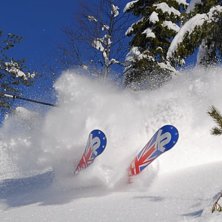 Foto: Hans H&ouml;rfelt. &Aring;kare: Pelle Gustavsson.