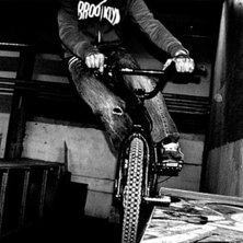 50/50 peg stal. Foto: Magnus Lindgren. &Aring;kare: Emil Larsson.