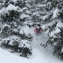 :). Foto: Michell Langerhorst. &Aring;kare: Harri Malinen.