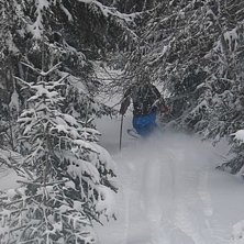 Foto: Rickard Croy. &Aring;kare: Johan Bergdahl.