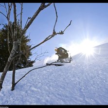 H&auml;ngandes i grenarna gjorde jag allt f&ouml;r att hin. Foto: Christian &Aring;kesson. &Aring;kare: Martin Holm.