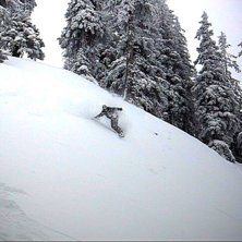 puder+skog= wonderbar. Foto: farsan. &Aring;kare: Rickard Croy.