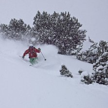 Sjukt grymma f&ouml;rh&aring;llanden och h&auml;rligt dumpande!. Foto: Anders Schelander. &Aring;kare: Roert Hortlund.
