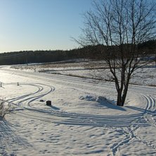 Foto: jonatan &aring;str&ouml;m.