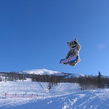 Santa Cruz loen rippar school!. Foto: Sofia Widmark. &Aring;kare: Peter Lindstr&ouml;m.