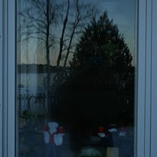 en bild. Foto: nicke. &Aring;kare: blomma.