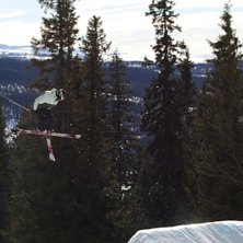 Snurr med tail o s&aring;.. Foto: Ebony. &Aring;kare: Johan Olsson.