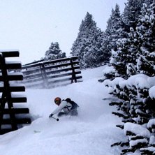 Jawohl!. &Aring;kare: CJ Ald&eacute;n.