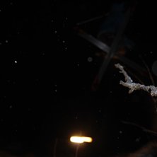 Foto: Kasper Kjaergaard. &Aring;kare: Lucas Julin.