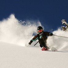 Frda l&auml;gger sk&ouml;na h&aring;rda sv&auml;ngar i Schwarsee. Foto: Adam Jonsson. &Aring;kare: Frida Alderin Harling.