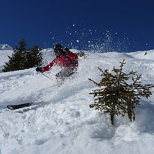 Wigga &amp;quot;cruisar&amp;quot; mellan granarna.. Foto: Bengt Eriksson. &Aring;kare: Peo Hamrin.
