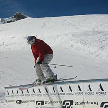 Flat rail. Foto: E.gyllander. &Aring;kare: Heda.