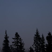 Foto: Patrik Brynielsson.