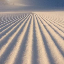 Nypreppet nedfarter
.