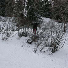 Jag k&ouml;r ett lite nice dropp  skogen.... Foto: Christian Linderholm. &Aring;kare: Marcus Gustafsson.