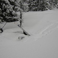 jobbigt med dessa &amp;quot;sn&ouml;dumpar&amp;quot;. Foto: Ulf P&aring;lsson. &Aring;kare: Nicklas Forsgren.