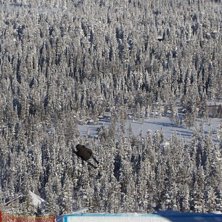Hopp i ett hopp. Foto: Gustav Borg. &Aring;kare: Henrik Gustafsson.