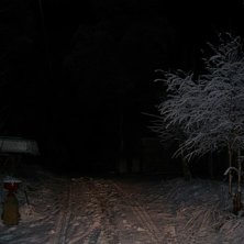 Fin vinterbild. Foto: Christopher Carlsson.