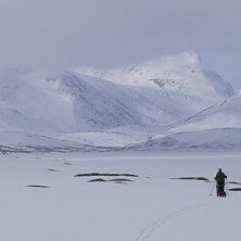 Foto: Erik Hansson.