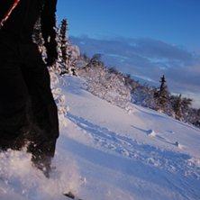 Foto: Johan Anderzen. &Aring;kare: Kent Johansson.