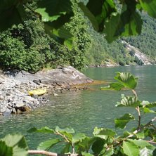 A sneakpeak through the bushes.... Foto: Johan.