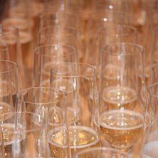 Foto: Eric Spongberg.