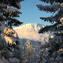 Skyfri himmel og -10
I dag kan vi melde om sol fra.