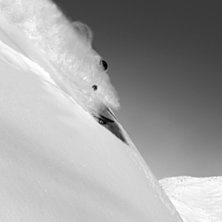 Mikael Menna Cruisar p&aring; i mjuksn&ouml;n :).