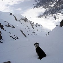 Chica straightar sin f&ouml;rsta couloir, n&auml;rmare fyr. Foto: P&auml;r Blomqvist. &Aring;kare: Chica.