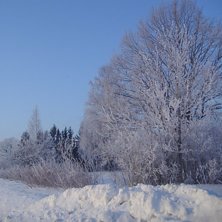 Vinter 2006. Foto: Jennie Nilson.