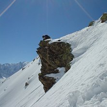 F&ouml;rbereder en flygtur.. Foto: Gustaf Borgudd. &Aring;kare: Mikael Johansson.