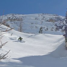 Sk&ouml;n sv&auml;ng i l&ouml;ssn&ouml;n!. Foto: Robban. &Aring;kare: Danne.
