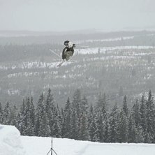 sw 9 mute p&aring; sm i kl&auml;ppen. Foto: Peter Eneflo. &Aring;kare: Per Fernvik.