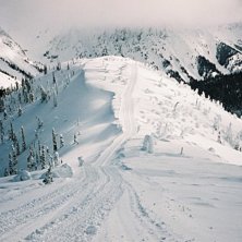 Foto: Niklas Brom&eacute;. &Aring;kare: Catski.