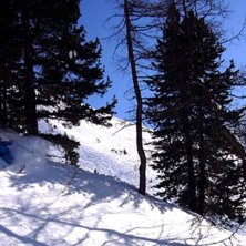 Foto: M&aring;rten &Aring;gren. &Aring;kare: Magnus Kring.