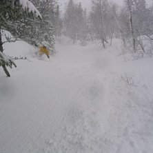 Grymma f&ouml;rh&aring;llanden p&aring; p&aring;skafton!!!. Foto: GC. &Aring;kare: John Skantze Carlsson.