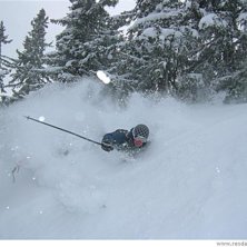 monstersv&auml;ng (u-sv&auml;ng) i j&auml;ttel&ouml;st puder, h&ouml;l. Foto: tobbovic eller kan det varit admire trota allt.. hmm... &Aring;kare: Niklas Kull.